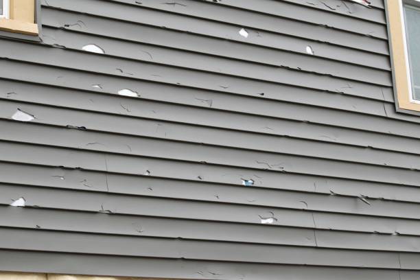 Best Historical Building Siding Restoration  in Kodi, AK