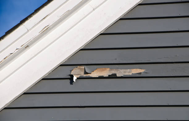 Best Siding for Commercial Buildings  in Kodi, AK